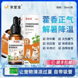 猫咪能喝藿香正气水吗？猫咪可以喝藿香正气口服液吗（最新）