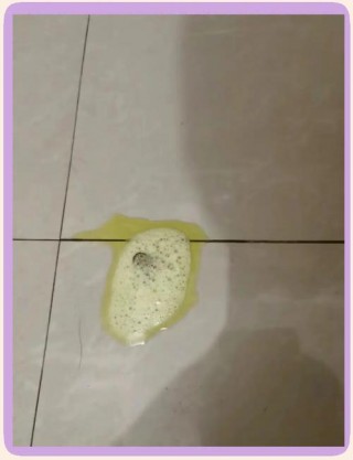 狗狗的呕吐物有病毒吗，（狗的呕吐物有没有病毒）