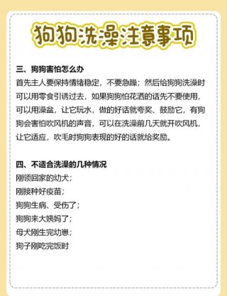 狗狗满月能洗澡吗，（狗狗满月了能洗澡吗?小狗狗呢）