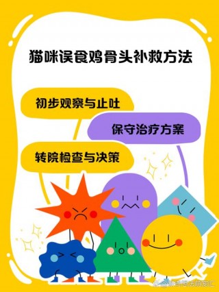 猫咪可以吃鸡骨头吗，（猫咪可以吃鸡骨头吗?）