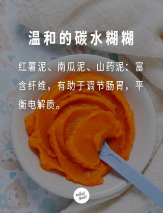 狗狗拉肚子吃什么食物好，（狗狗拉肚子吃什么食物好消化）