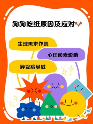 狗狗吃纸怎么办，狗子吃纸？