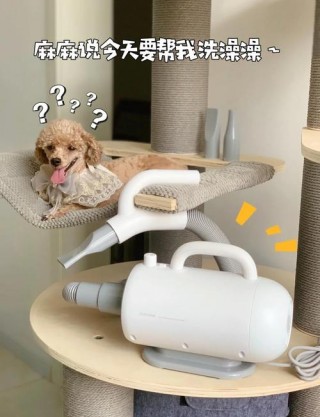 狗狗吹风机什么牌子好，狗狗吹风机推荐？