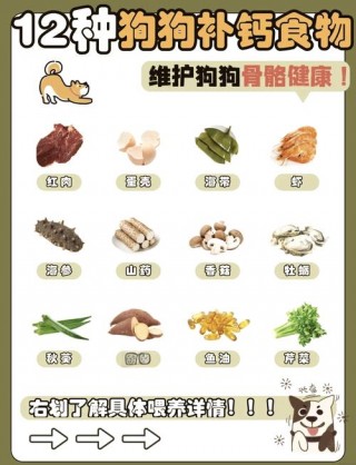 狗狗能吃秋葵吗，（宠物狗可以吃秋葵吗）