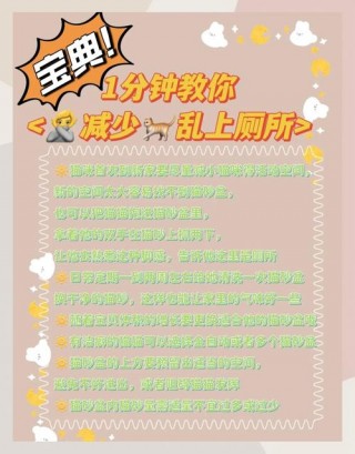 猫咪到处拉屎怎么办？猫到处拉粑粑怎么办（最新）