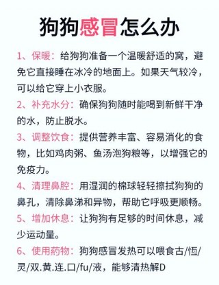 2个月狗狗感冒能自愈吗，（2个月狗狗感冒能自愈吗为什么）
