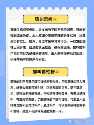 猫咪爱叫怎么办？猫咪爱叫怎么办啊（最新）