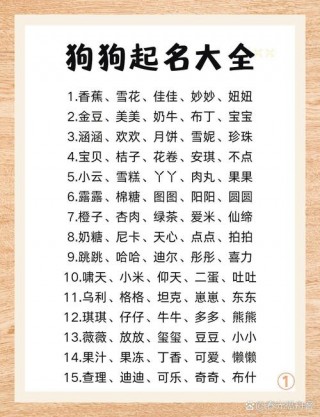 怎样让狗狗知道自己的名字，（怎样让狗狗知道自己的名字和性别）