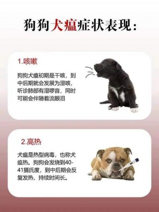 狗狗犬瘟热是什么症状，狗狗犬瘟热怎么治疗？