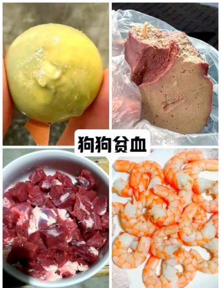 狗狗吃什么补血，狗狗吃什么补血小板？