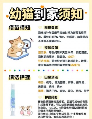 猫咪第一次驱虫？猫咪第一次驱虫需要注意什么（最新）