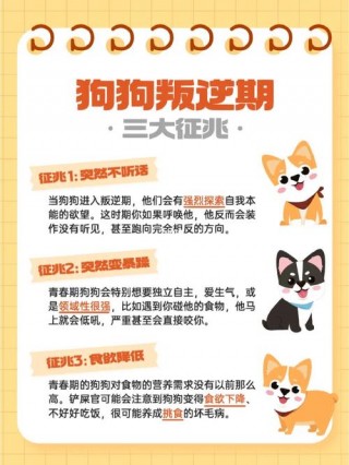 狗狗叛逆期有什么表现，（狗狗叛逆期有什么表现和症状）