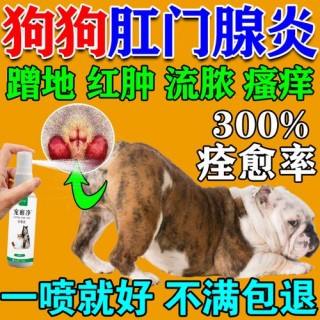 狗狗屁股发炎了怎么办，（狗狗屁股红肿发炎有无大碍）