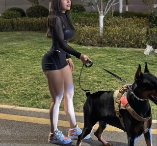 适合女生养的狗狗？女生独居养什么狗防身（最新）