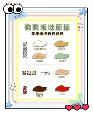 狗狗老是吐怎么办，（狗狗老是吐咋回事）