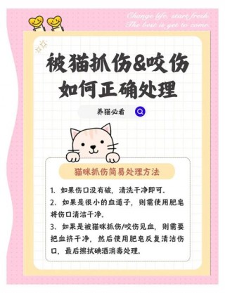 被猫咪抓伤怎么办，被猫咪抓了咋办？