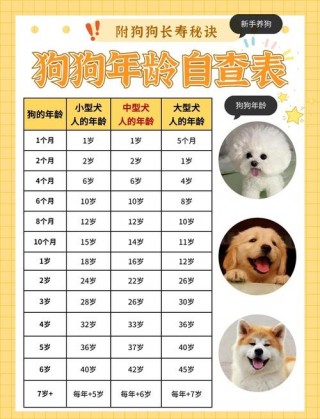 狗狗可以活几年，（狗狗可以活几年?）