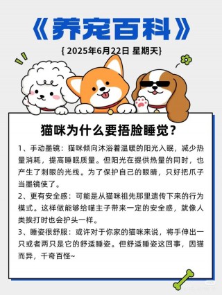 猫猫睡觉姿势？猫猫睡觉姿势是什么意思（最新）