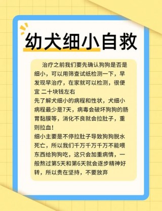 狗狗得了细小能治好吗，狗狗得了细小还能治吗？