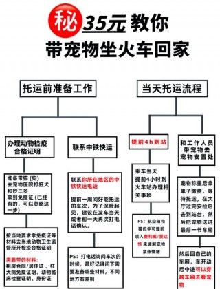 怎么带狗狗坐火车，（怎样带狗狗过火车安检）
