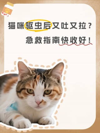 猫咪驱虫药副作用？猫咪驱虫药副作用怎么缓解（最新）