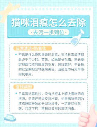 猫咪有泪痕怎么办，（狗狗有泪痕怎么办怎么去掉）