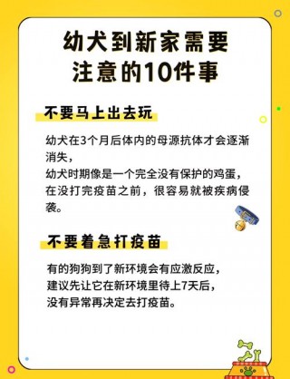 狗狗打完疫苗多久可以洗澡，狗狗打完疫苗最少几天能洗澡？