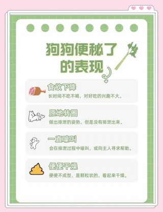 怎么帮助狗狗排便，（帮助狗狗排便的方法）