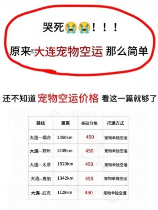 空运一只狗狗多少钱，（空运狗费用多少）