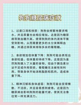 狗狗可以喝白糖水吗，狗狗能喝白糖水补充能量么？