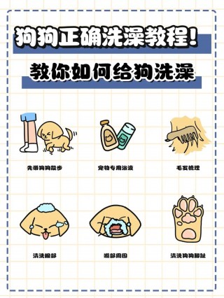 给狗狗洗澡怎么洗，给狗狗洗澡怎么洗好？