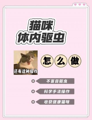 猫咪体内外驱虫怎么做，猫体内外驱虫注意事项？