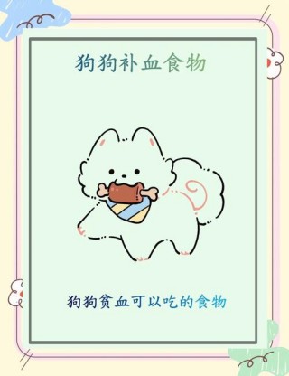 狗狗贫血吃什么，狗狗贫血吃什么补血最快？