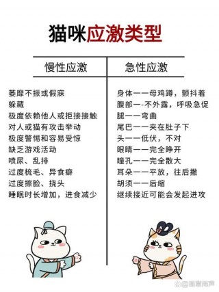 猫咪坐车害怕怎么缓解，（猫咪坐车害怕怎么缓解它）