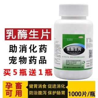 乳酶生狗狗可以吃吗，乳酶生狗狗幼犬能吃吗？