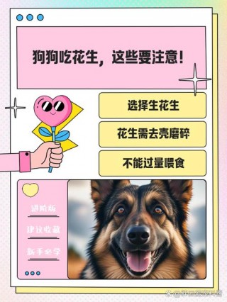狗狗可不可以吃花生，狗狗可不可以吃花生吗？