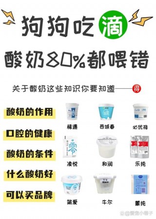 狗狗能喝什么酸奶，（狗狗能喝什么酸奶和牛奶）