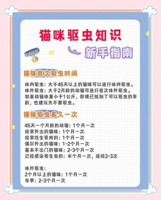 猫咪几个月可以驱虫？猫咪几个月可以驱虫打疫苗（最新）