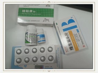 狗狗抽搐吃什么药，（狗狗抽搐吃什么药能控制住不抽搐）