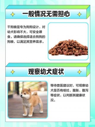 狗狗几个月可以吃干狗粮，（狗狗几个月可以开始吃干粮）