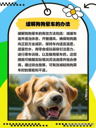 狗狗会不会晕车，狗狗会不会晕车呀？