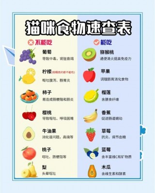 猫咪能吃提子吗，（猫能吃提子葡萄么）