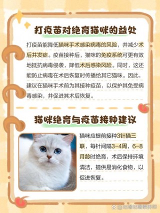 猫咪什么时候可以绝育？猫咪什么时候才能绝育（最新）