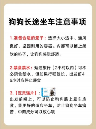 狗狗可以坐长途汽车吗，狗狗可以坐长途汽车吗现在？