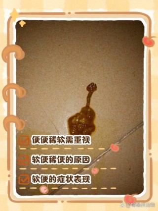 狗狗大便不成形怎么办，（狗狗大便不成型稀什么原因）