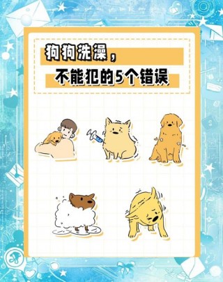 狗狗害怕洗澡怎么办？狗狗怕洗澡是否狂犬病（最新）