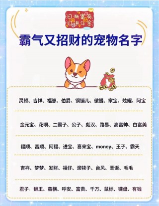 寓意招财的狗狗名字，招财运的狗名字？