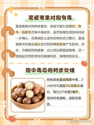 狗狗能吃夏威夷果吗，（狗狗能吃夏威夷果吗 泰迪）