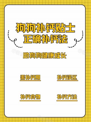 狗狗缺钙的症状有哪些？狗狗缺钙的现象（最新）