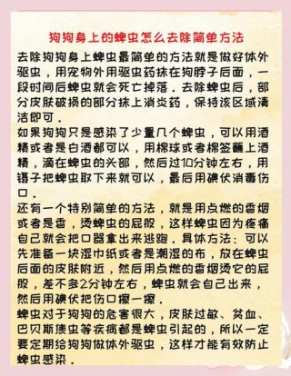 怎么去除狗狗身上的蜱虫，84消毒液杀蜱虫最简单方法？
